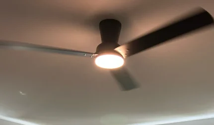 Lighting & Ceiling Fans